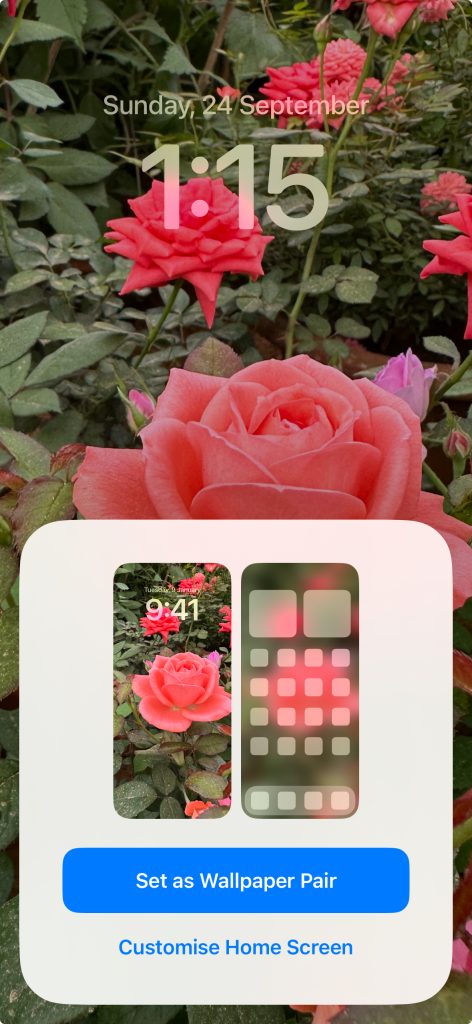 How to change Wallpaper on iPhone 15